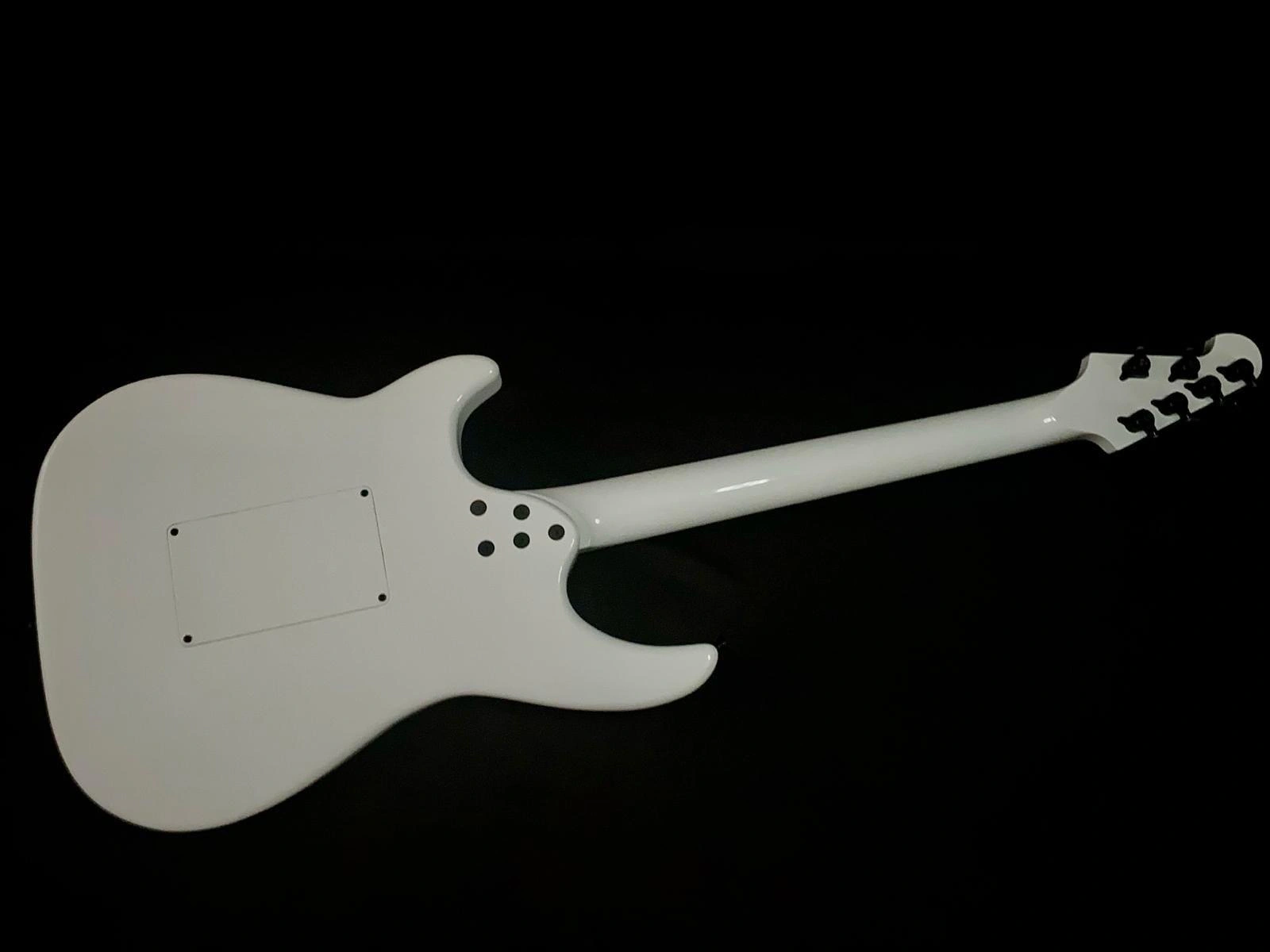 Heier #15 T2 Black/White – Detailansicht 15 – Custom E-Gitarre von Heier Guitars bei Dresden und Meißen